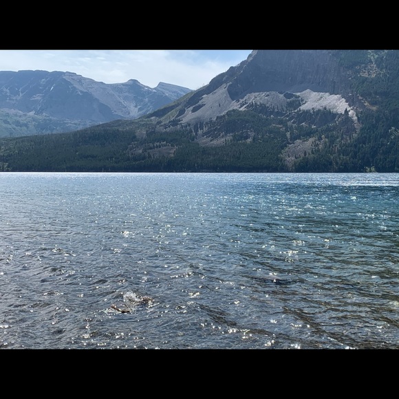 Meet your Posher, Anya - Picture 1 of 1